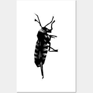 black and white wasp Posters and Art